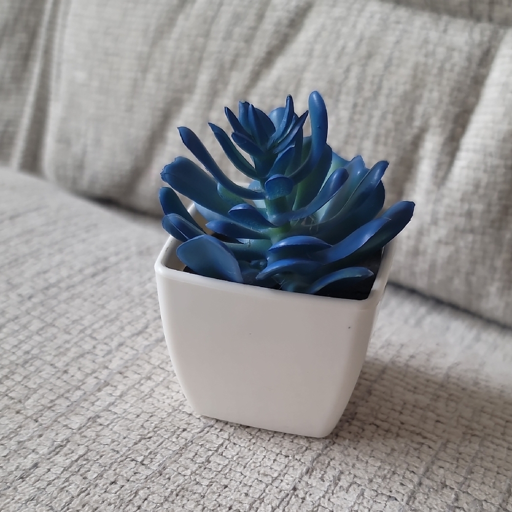 Boutique Mini faux Succulent 🪴